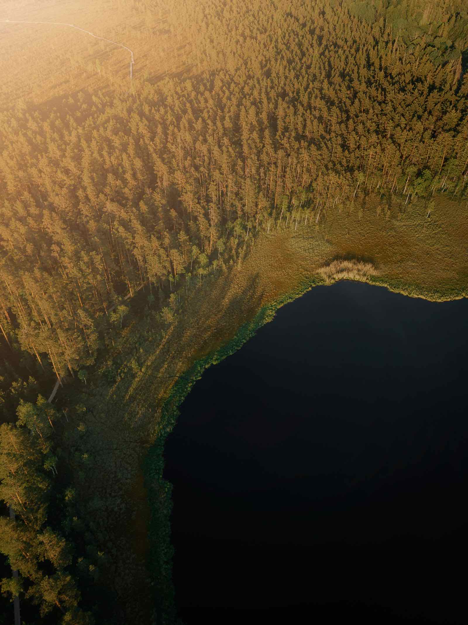 Ilta järven rannalla